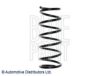 SUZUK 4131181A30 Coil Spring